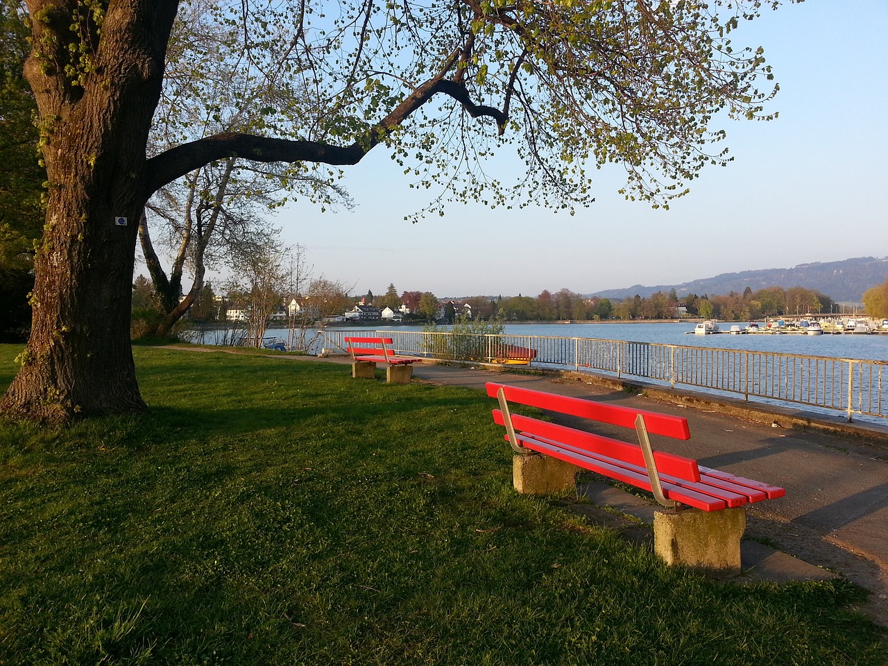 还是鲍威尔 还是鲍威尔