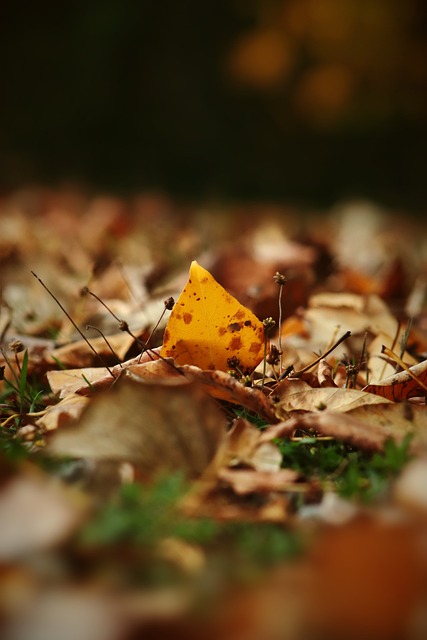 这些挫折成 这些挫折成