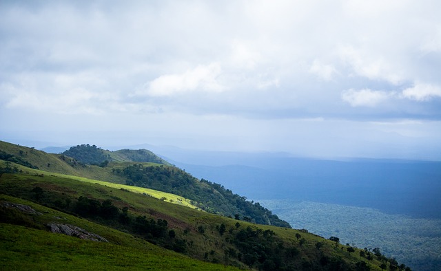 少年到职业 少年到职业