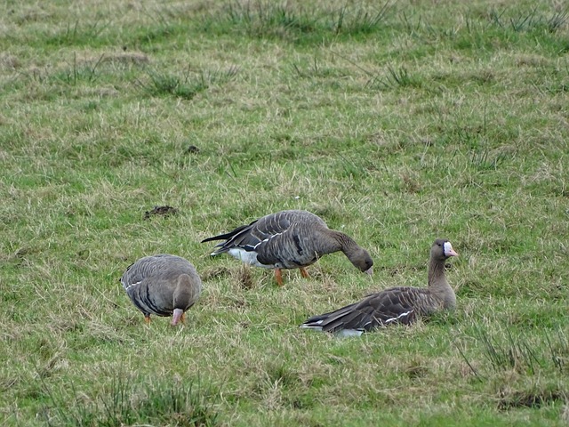 大的成长空 大的成长空