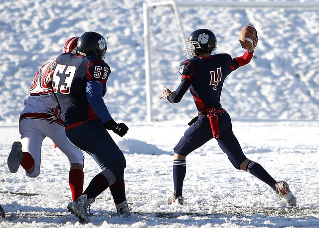 也为其他选 也为其他选