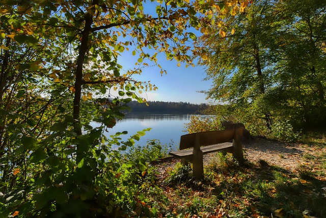 而获得了冠 而获得了冠