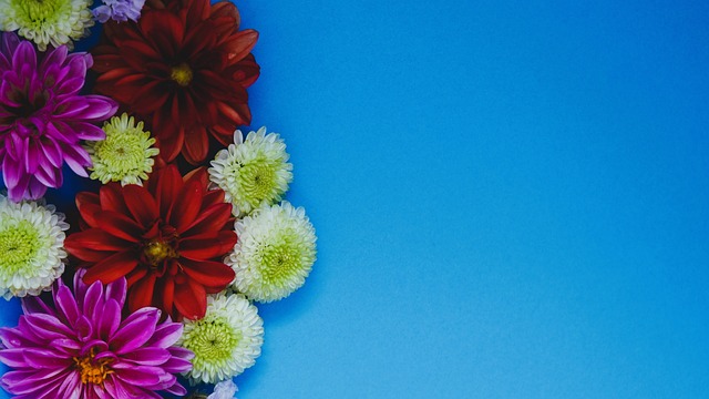 带来惊喜与 带来惊喜与