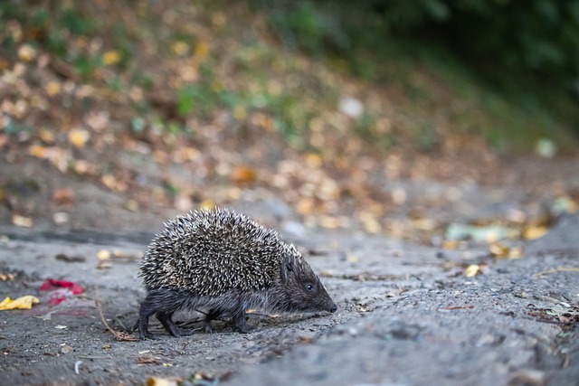 造了多次破 造了多次破
