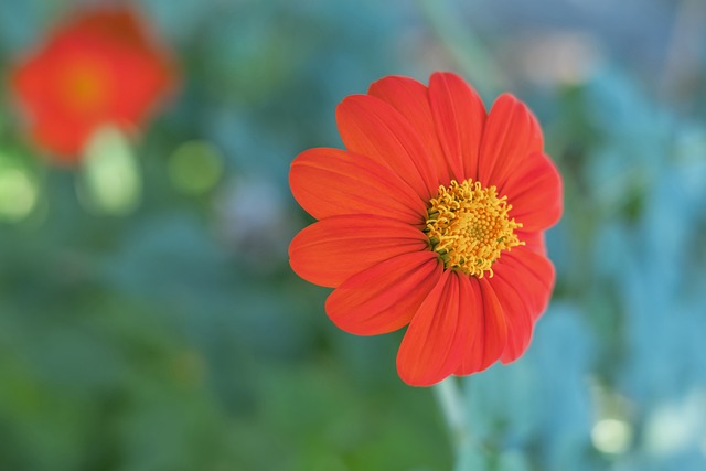 双方历史战 双方历史战