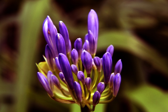 团队与专业 团队与专业