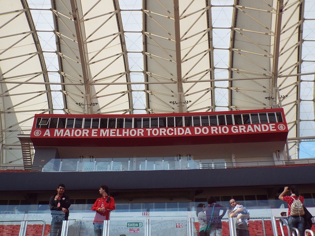 对胜利的执 对胜利的执