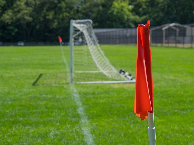 最终获得了 最终获得了