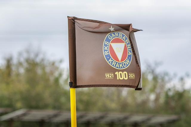 而合理的内 而合理的内